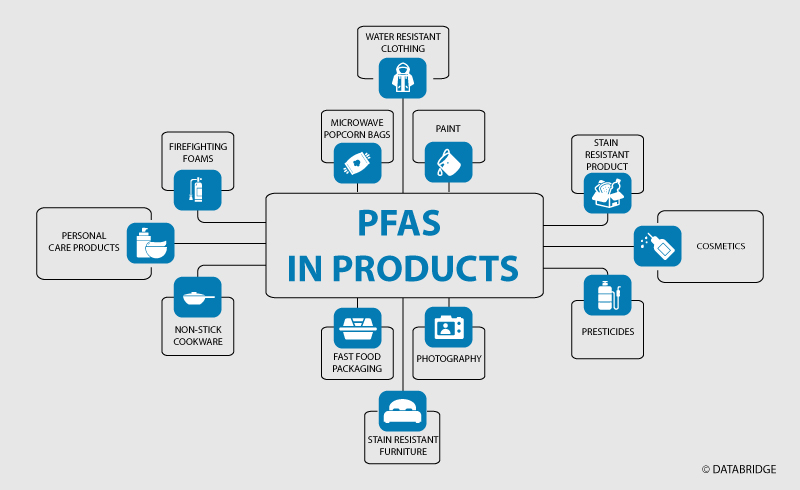 Advancements in PFAS-Free Compostable Products: Meeting International Standards