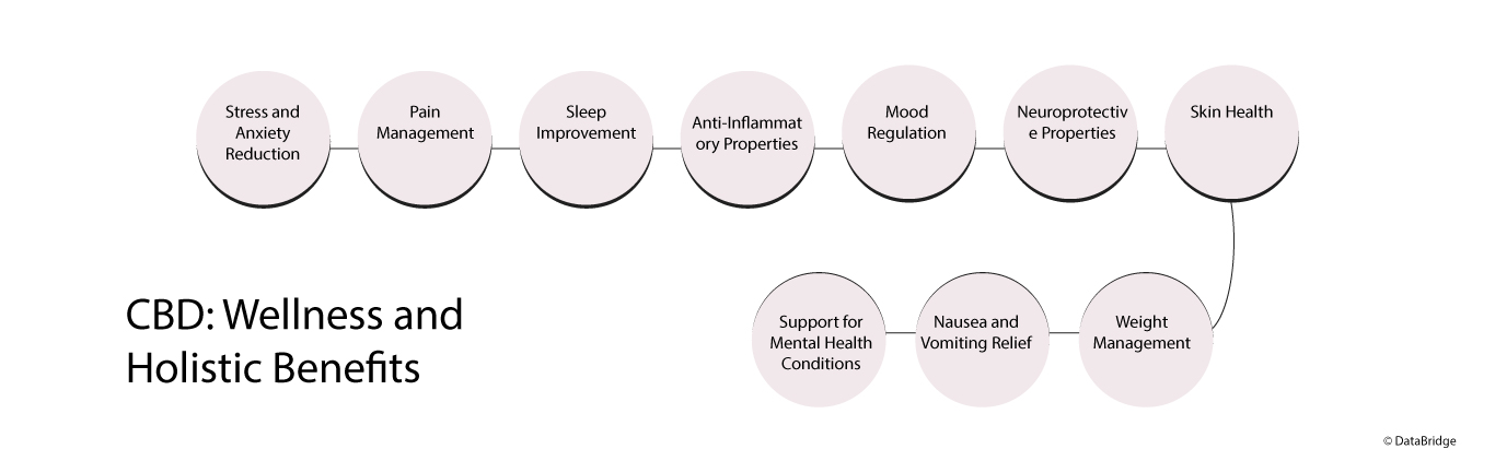 Unlocking Wellness: The Transformative Power of CBD Oil for Health, Healing, and Holistic Well-Being Exploration