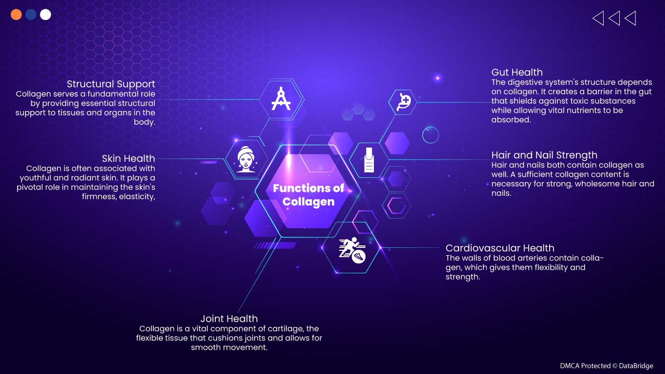 Understanding Collagen: Nature's Building Blocks for Human Health