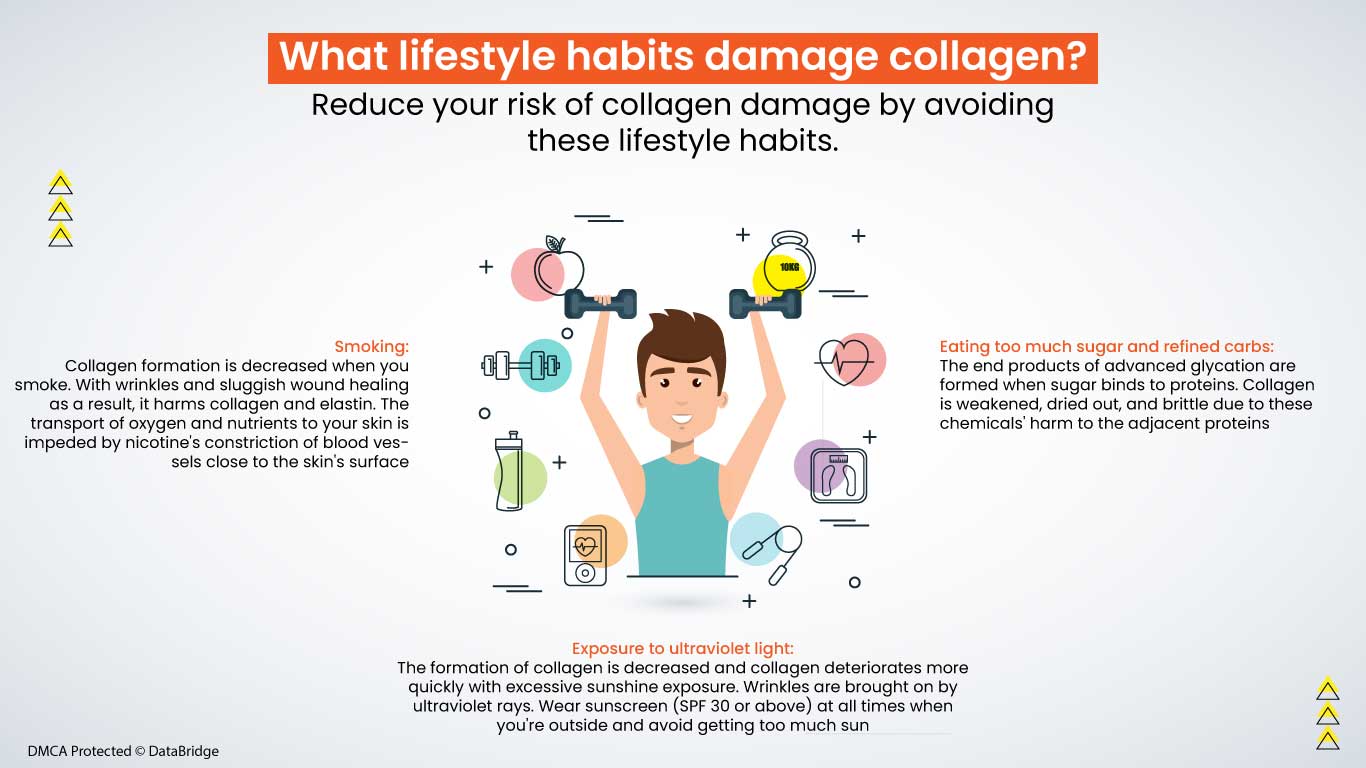 Understanding Collagen: Nature's Building Blocks for Human Health