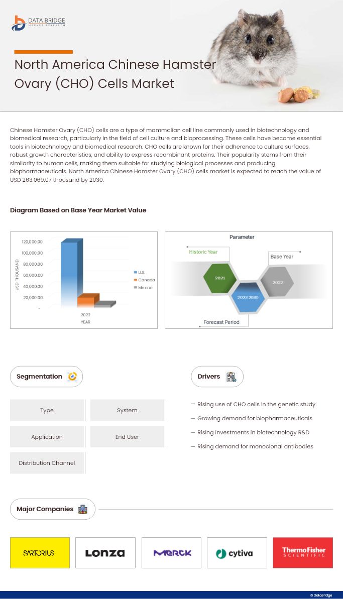 North America Chinese Hamster Ovary (CHO) Cells Market